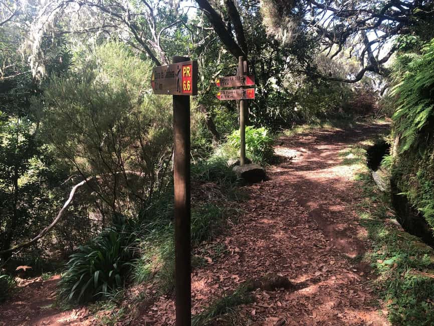 Rabaçal: 25 Fontes & Risco Levada Hiking Transfer - Timing the IFCN forest ticket and the linked timeslots