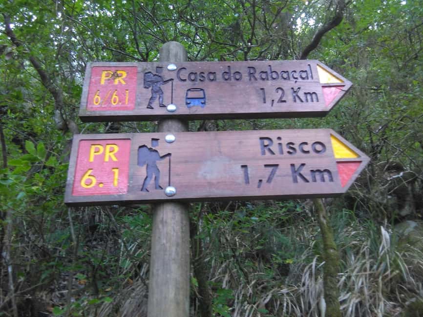 Rabaçal: 25 Fontes & Risco Levada Hiking Transfer - What to pack for Madeira levadas, and what not to do in the van