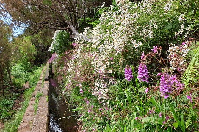 Rabaçal - 25 Fonts - Key Highlights You Should Care About