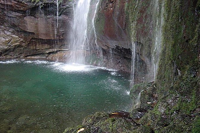 Rabacal - 25 Fountains - Why Rabacal and 25 Fountains is worth your full day in Madeira