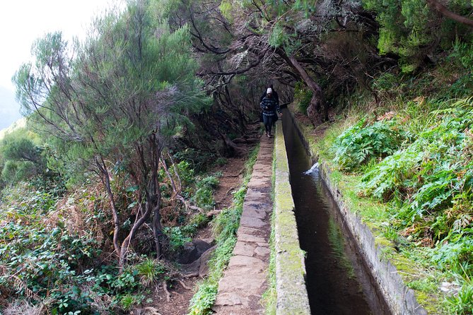 Rabaçal Hiking Tour - Getting from Funchal: pickup that actually makes the day easier
