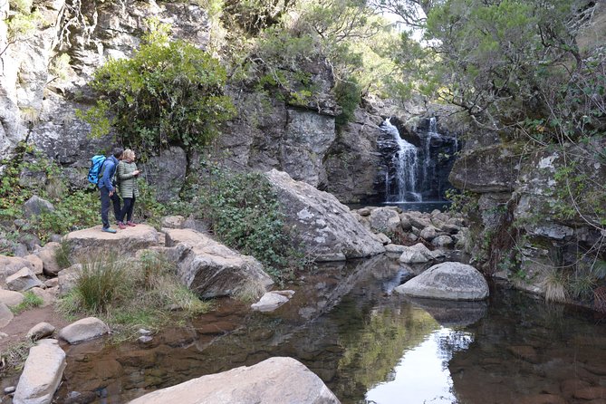 Rabaçal Hiking Tour - Price and value: is $96.13 fair for a half-day hike?