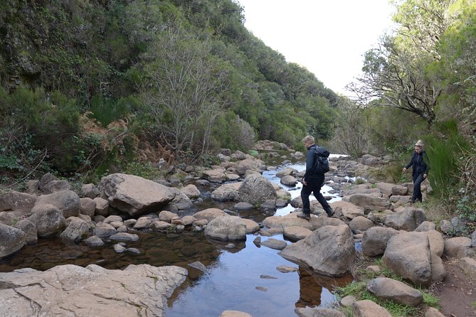 Rabaçal Hiking Tour - Levada das 25 Fontes through Laurissilva: what you’ll really notice