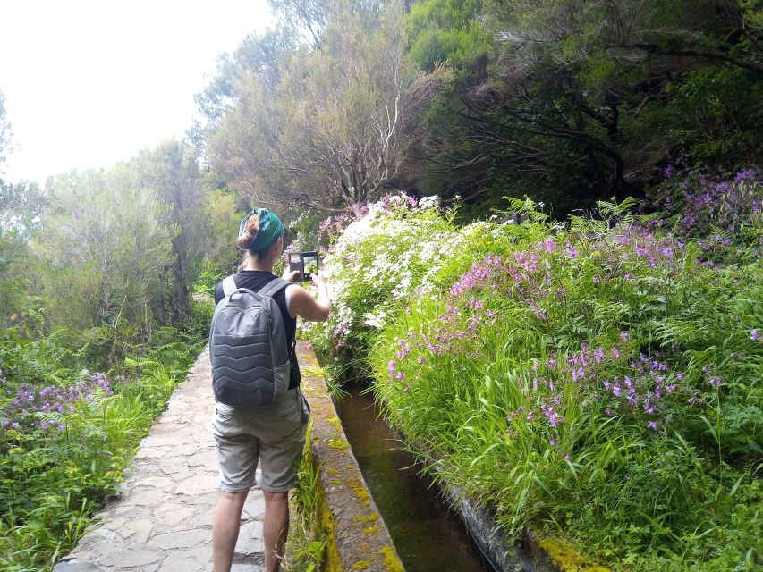Rabaçal: Lagoa do Vento, Levada Risco and Levada 25 Fontes - Key highlights worth planning around