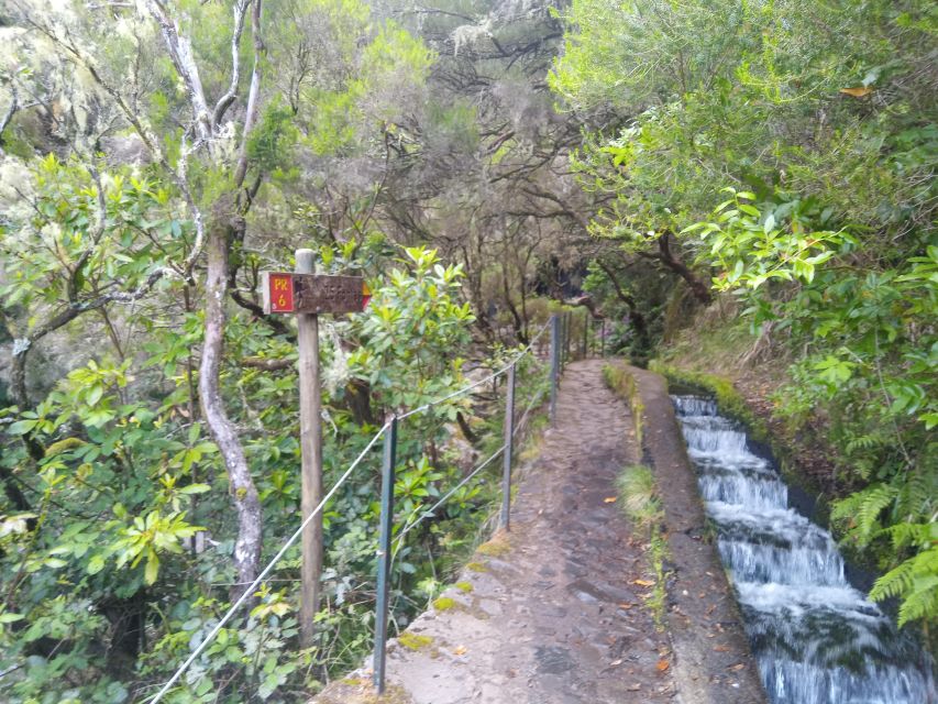 Rabaçal: Lagoa do Vento, Levada Risco and Levada 25 Fontes - Risco waterfall: the rugged contrast