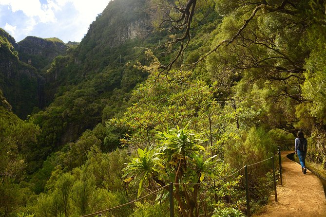 Rabaçal - Levada das 25 Fontes - Why Levada das 25 Fontes feels special on Madeira