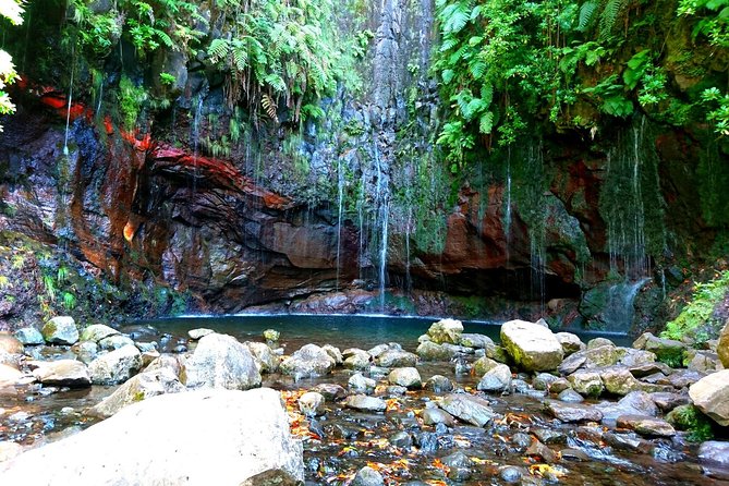 Rabaçal - Levada das 25 Fontes - How the guide turns a good hike into a memorable one