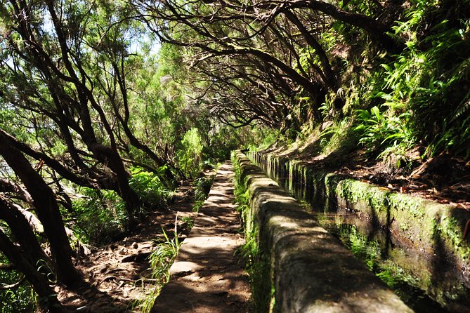 Rabaçal - Levada das 25 Fontes - Who should book this Rabaçal and 25 Fontes hike