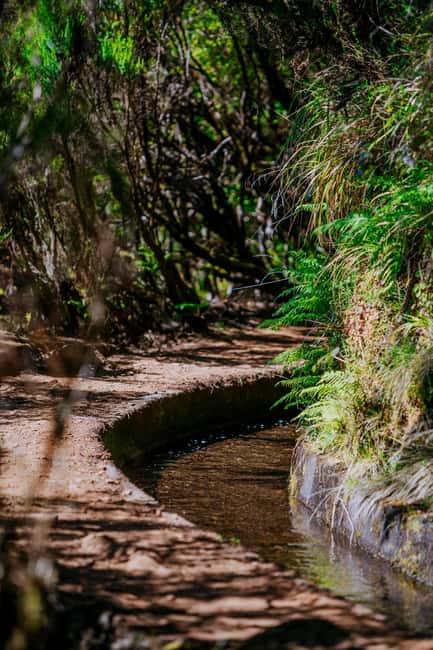 Rabaçal Nature Experience: Alecrim & Lagoa do Vento Hike - PR6.2 to PR6.3: how the loop plays out on the ground