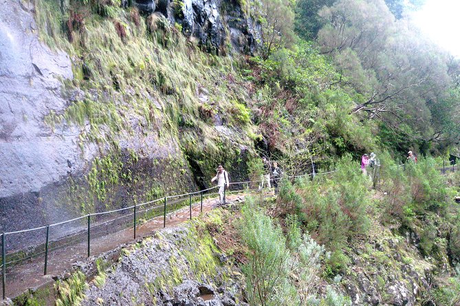 Rabaçal - Risco - 25 Fontes Levada Walk - Price and value for a guided half-day with real payoffs