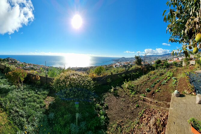 "Re-Canto" Farm-to-Table with Stunning Views at Madeira - The 4-Course Madeira Menu: Espetada, Seasonal Sides, and Digestif