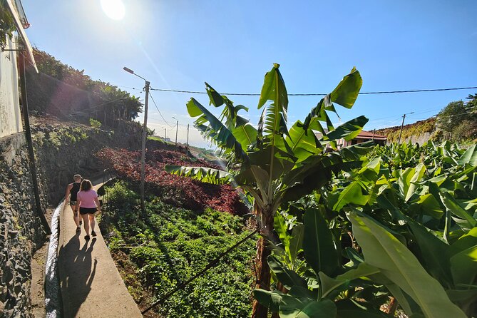 Real Life, Mountains & Sea Cliffs (Nun´s Valley View) - Half Day 4x4 Tour - Higher up toward Fajã das Galinhas: viewpoints you actually want to linger at