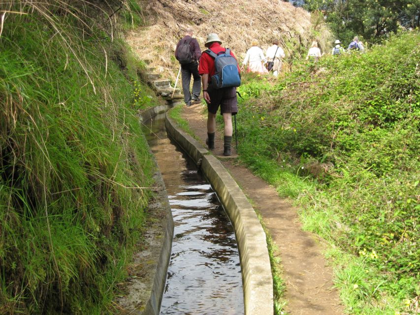 Referta & Castelejo: Half-Day Morning Walk - Penha D’Águia rock: the volcanic moment you remember