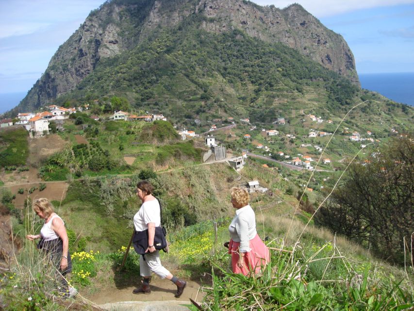 Referta & Castelejo: Half-Day Morning Walk - From hotel pickup to Levada do Castelejo: the easy start