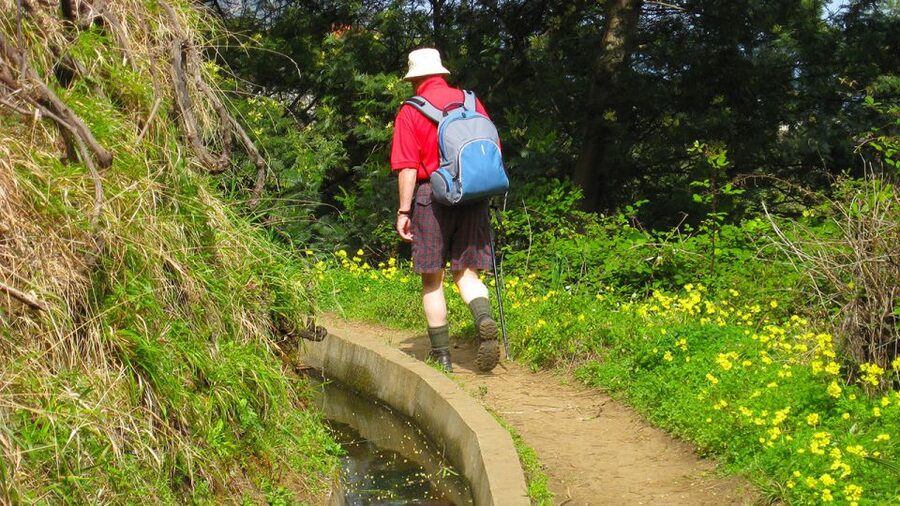 Referta / Castelejo - Levada Walk - Key highlights at a glance
