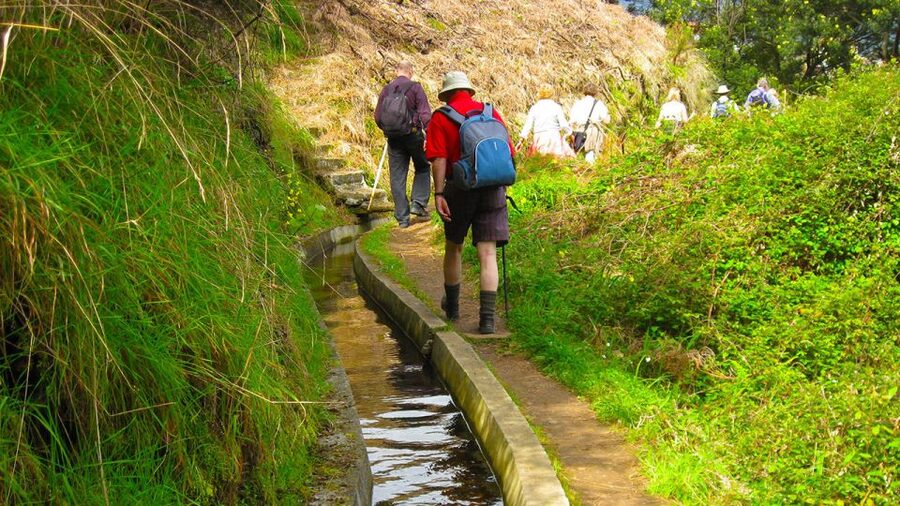 Referta / Castelejo - Levada Walk - Referta to Castelejo: easy levada walking with Eagle’s Rock moments