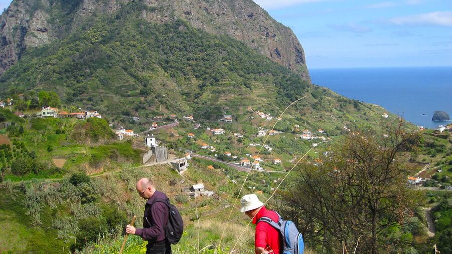 Referta / Castelejo - Levada Walk - What the trail feels like: old paths, endemic plants, and a steady rhythm