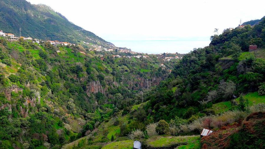 Referta / Castelejo - Levada Walk - Porto da Cruz finish: cafe stop, poncha, and small local moments