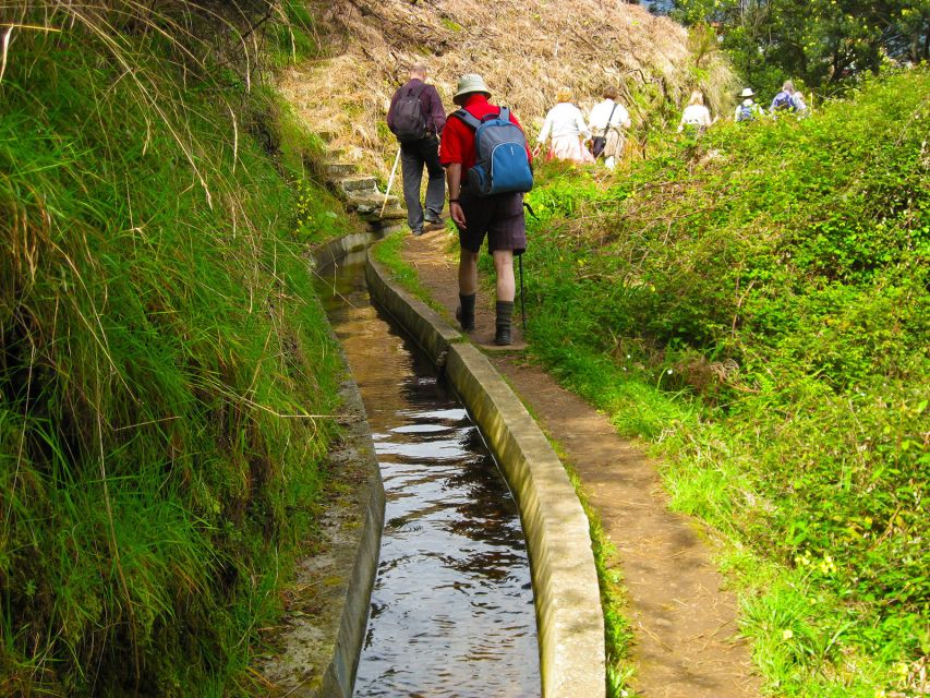 Referta / Castelejo - Levada Walk - Guides make the difference: Spanish, English, French, German, and Portuguese