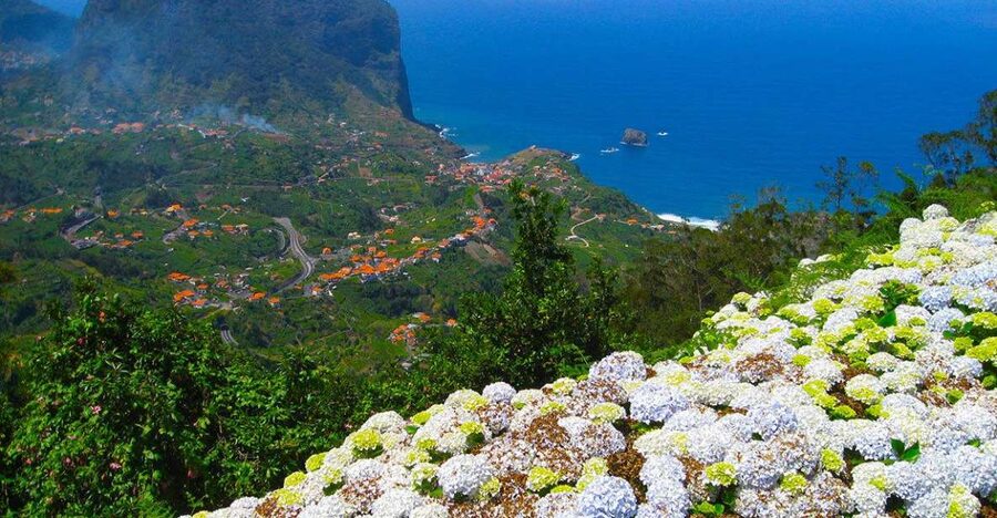 Referta / Castelejo - Levada Walk - Price and value: why $38 feels fair for a half-day in Madeira