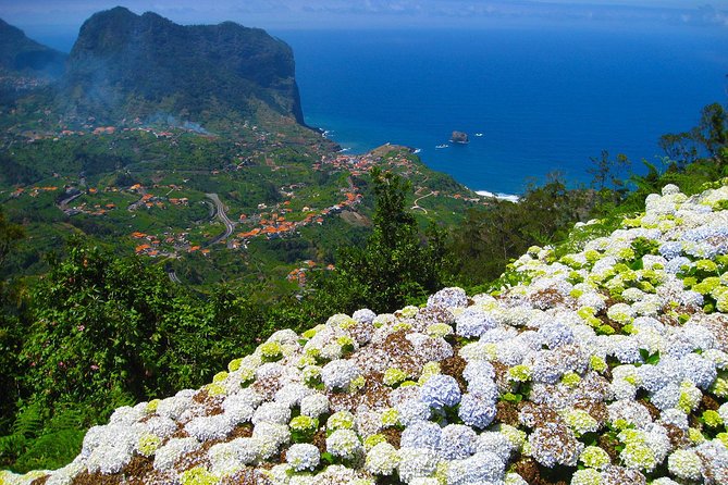 Referta Castelejo Levada Walk from Funchal - A Gentle Levada Escape From Funchal