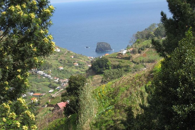 Referta Castelejo Levada Walk from Funchal - The 8:30 Morning Start, Pickup, and How the Day Flows