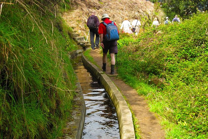 Referta Castelejo Levada Walk from Funchal - What the Guide Adds, From Plant Notes to Group Care