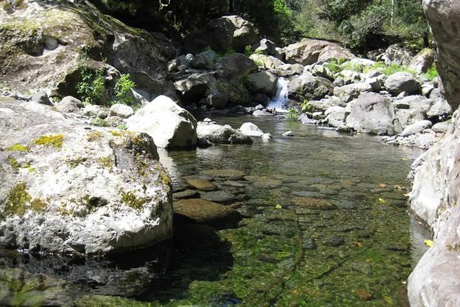 Referta Castelejo Levada Walk from Funchal - Refertas and Porto da Cruz, Where the Green Meets Everyday Farming
