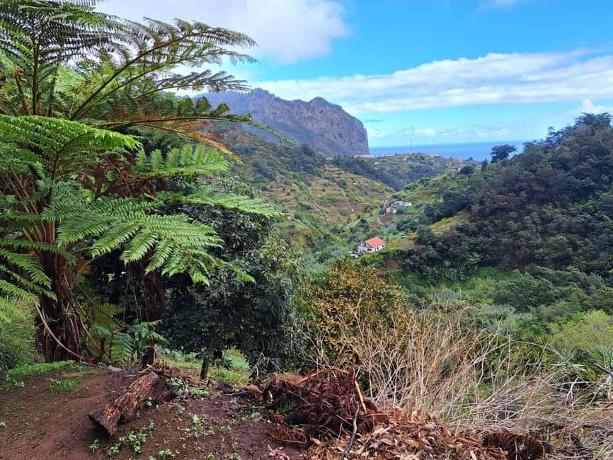 Referta levada walk: Discover Madeira’s Quiet Countryside - Coffee, drinks, and a homemade banana cake finish