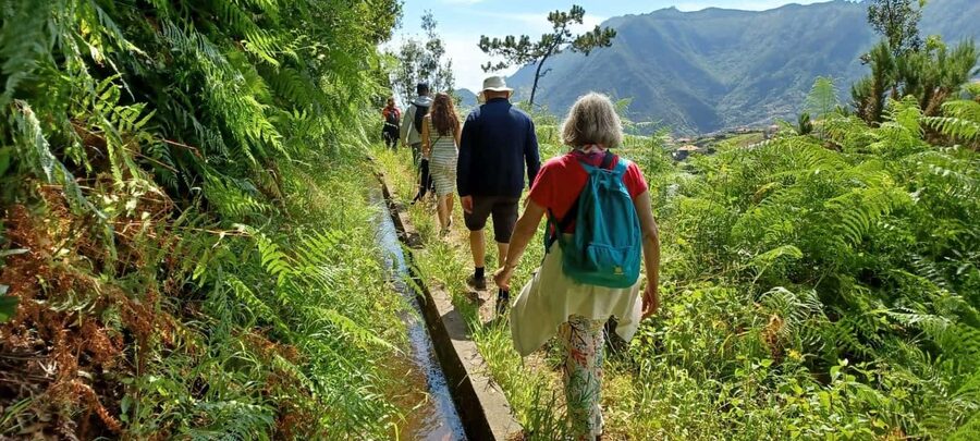 Referta levada walk: Discover Madeira’s Quiet Countryside - The 2.5-hour levada route through terraces, orchards, and stone walls