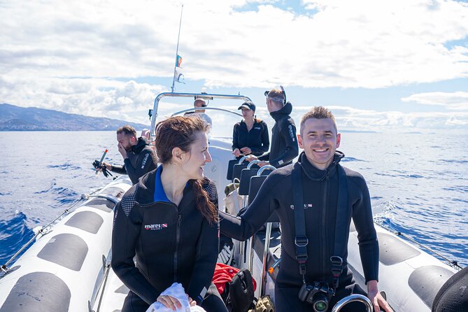 Responsible Whales and/or Dolphins Watching Tour - Species you might spot, and what to look for in real time