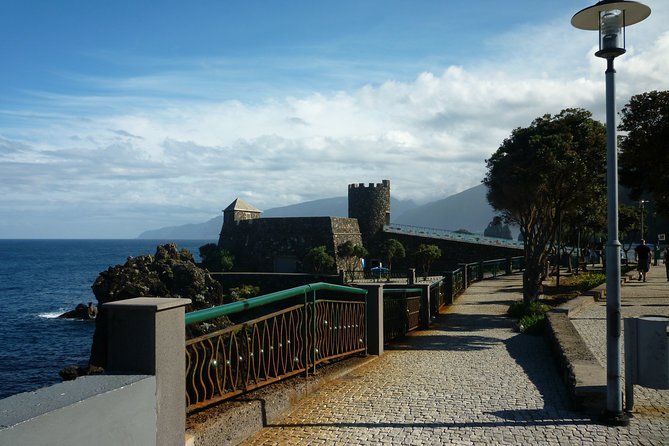 Return to Madeira Island in 2 days - Day 2: UNESCO Laurissilva areas, Santana roofs again, Ponta de São Lourenço, and Machico