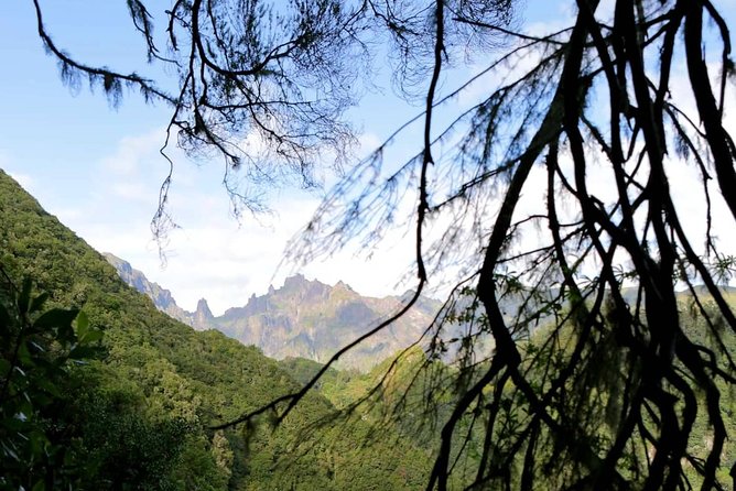 Ribeiro Frio - Portela - Why Ribeiro Frio and Portela makes a great Madeira escape