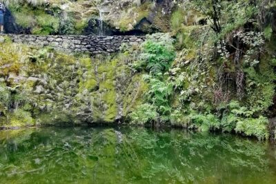 Ribeiro Frio – Portela