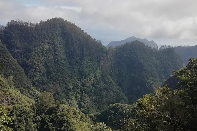 Ribeiro Frio - Portela - The end point: a drink stop that turns effort into a win