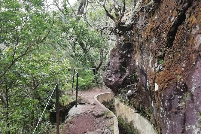 Ribeiro Frio - Portela - Price and value: is $54.01 worth it?