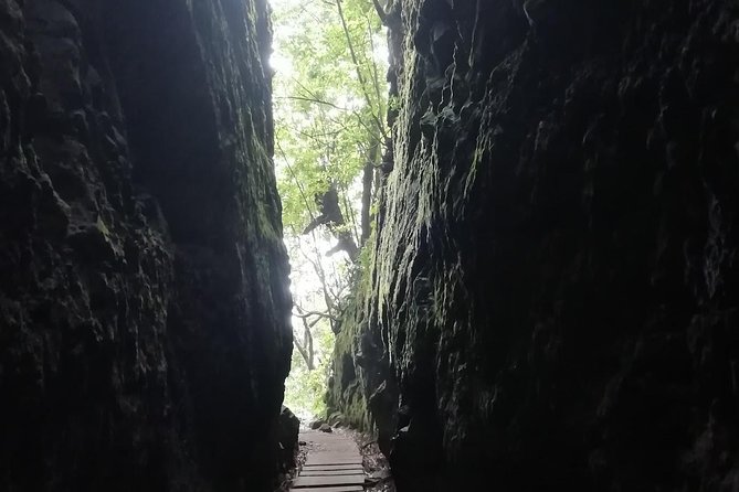 Ribeiro Frio - Portela - Who should book this Ribeiro Frio to Portela walk