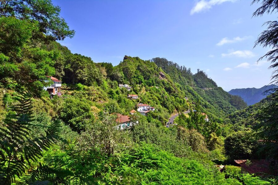 Ribeiro Frio / Portela - Levada Walk - Key highlights that make this walk worth your time