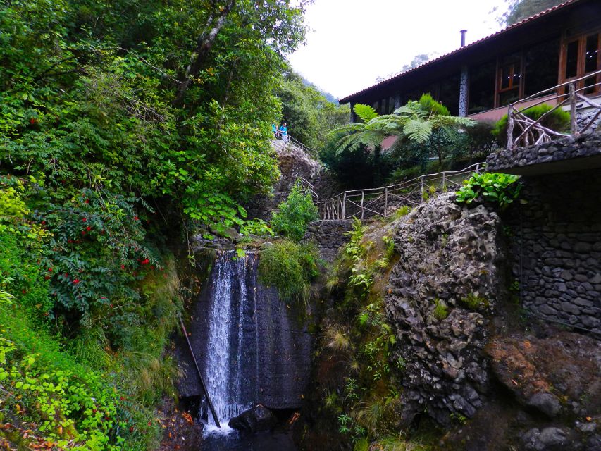 Ribeiro Frio / Portela - Levada Walk - Who should book this levada walk, and who might not love it