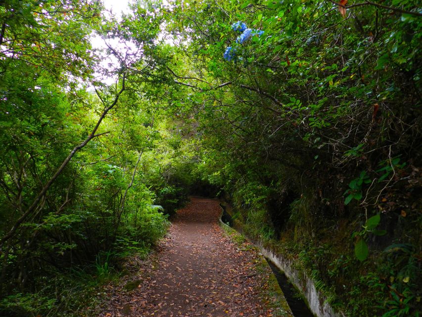 Ribeiro Frio / Portela - Levada Walk - Why the Ribeiro Frio to Portela levada is Madeira’s classic