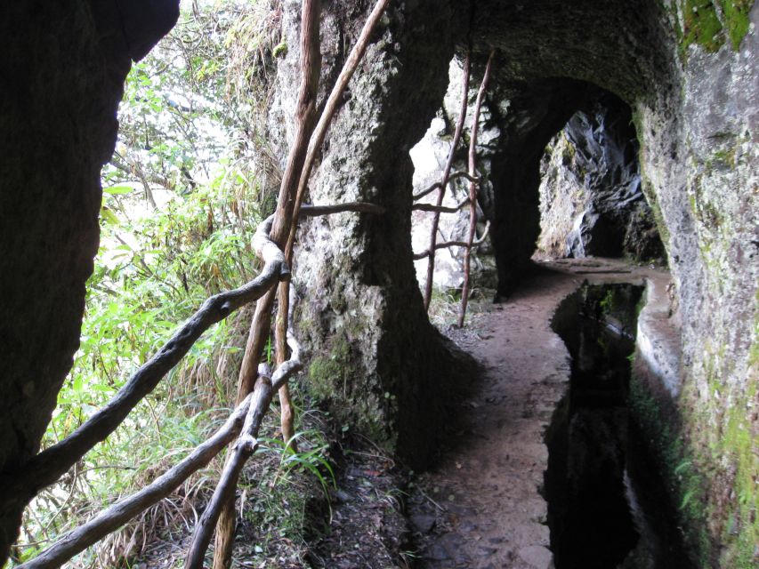 Ribeiro Frio / Portela - Levada Walk - The laurel and heather corridor, plus endemic species spotting