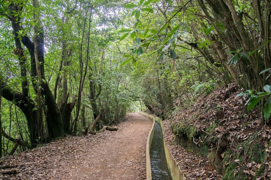 Ribeiro Frio / Portela - Levada Walk - What to pack so the route stays easy and enjoyable
