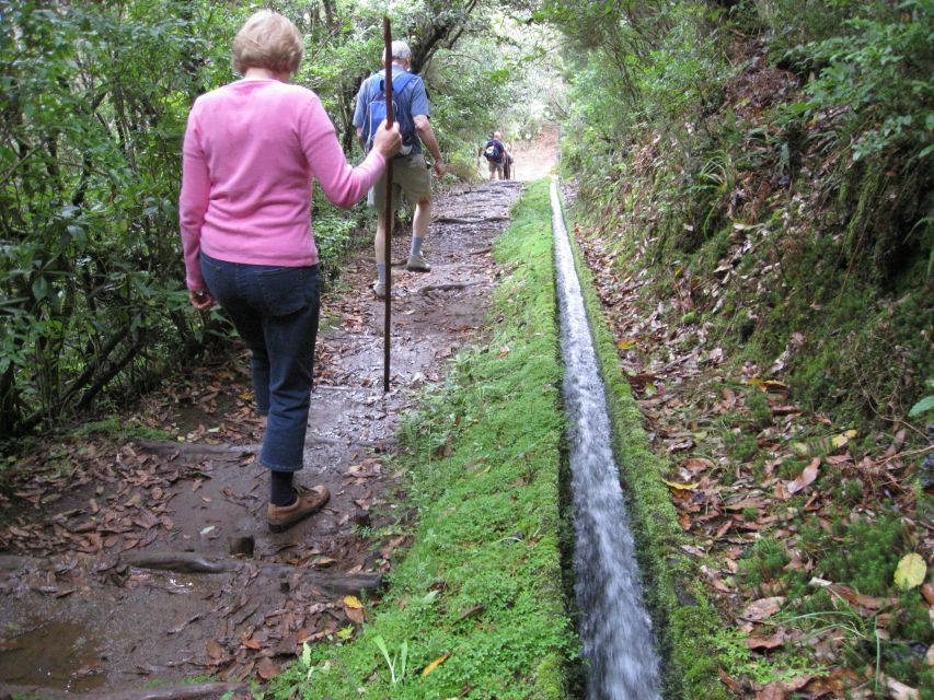 Ribeiro Frio / Portela - Levada Walk - Garden paths and the trout levada: what you’ll actually see