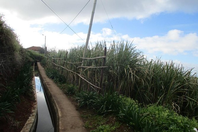Rota do Açucar - Levada Nova (Half Day Walk) - Key Highlights You Can Count On