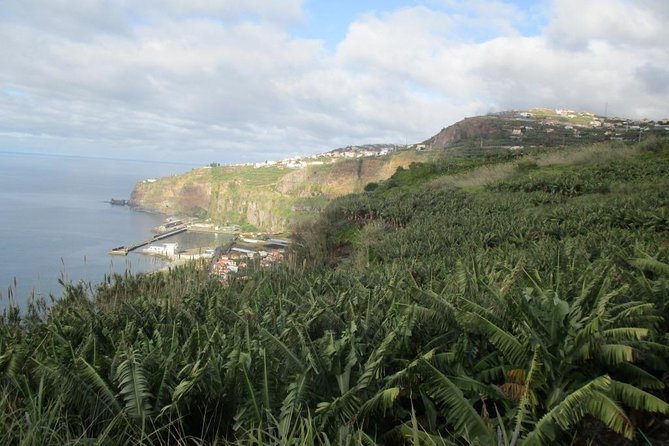 Rota do Açucar - Levada Nova (Half Day Walk) - Levada Nova From Ponta do Sol: an Easy Half-Day