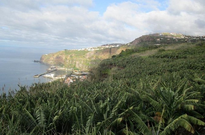 Rota do Açucar - Levada Nova (Half Day Walk) - Your Best Preparation Checklist: Shoes, Coat, Water, Picnic