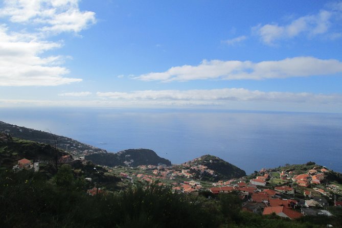 Rota do Açucar - Levada Nova (Half Day Walk) - The Guide Factor: Clear Commentary and the Right Effort