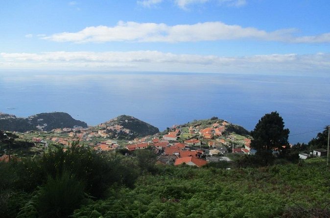 Rota do Açucar - Levada Nova (Half Day Walk) - Price and Value: Is $41.13 Fair for This Half-Day?