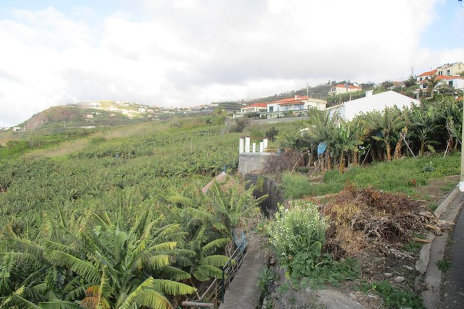 Rota do Açucar - Levada Nova (Half Day Walk) - What the Walk Is Really Like on an Easy Levada Route