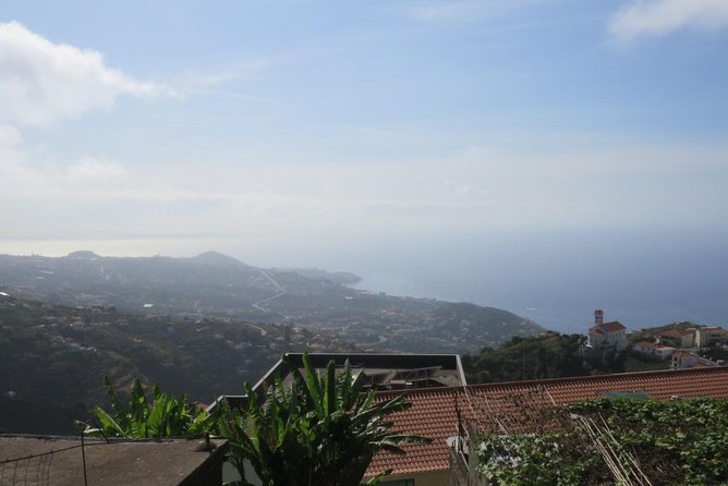 Rota do Vinho - Wine Route (Half Day Walk) - Rota do Vinho in Madeira, wine education without the heavy schedule